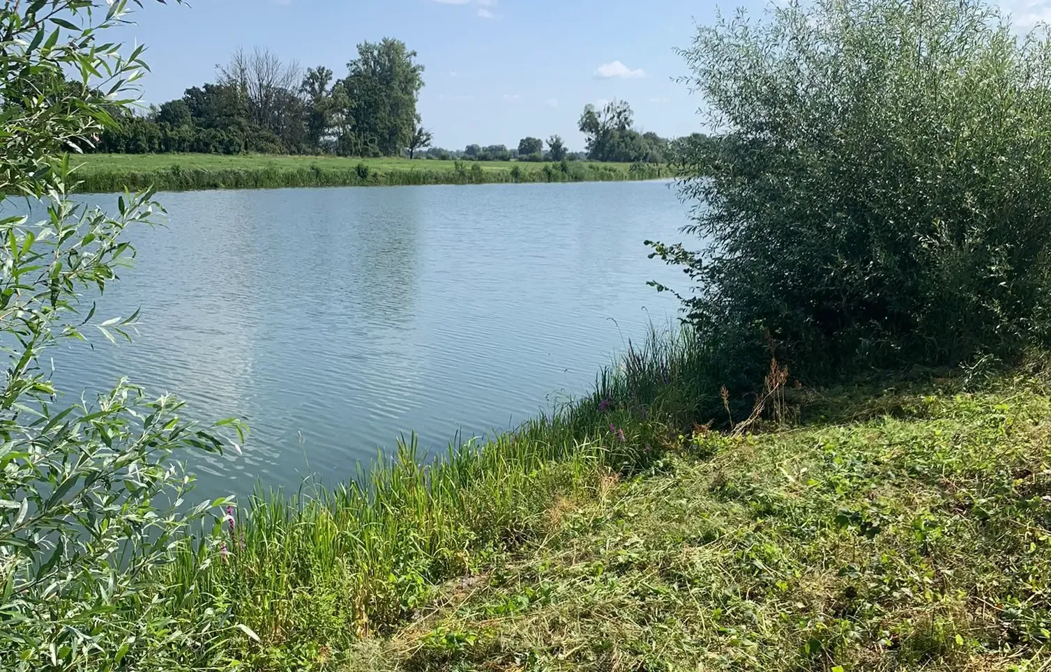 Viel Arbeit am Fleischerwerder
