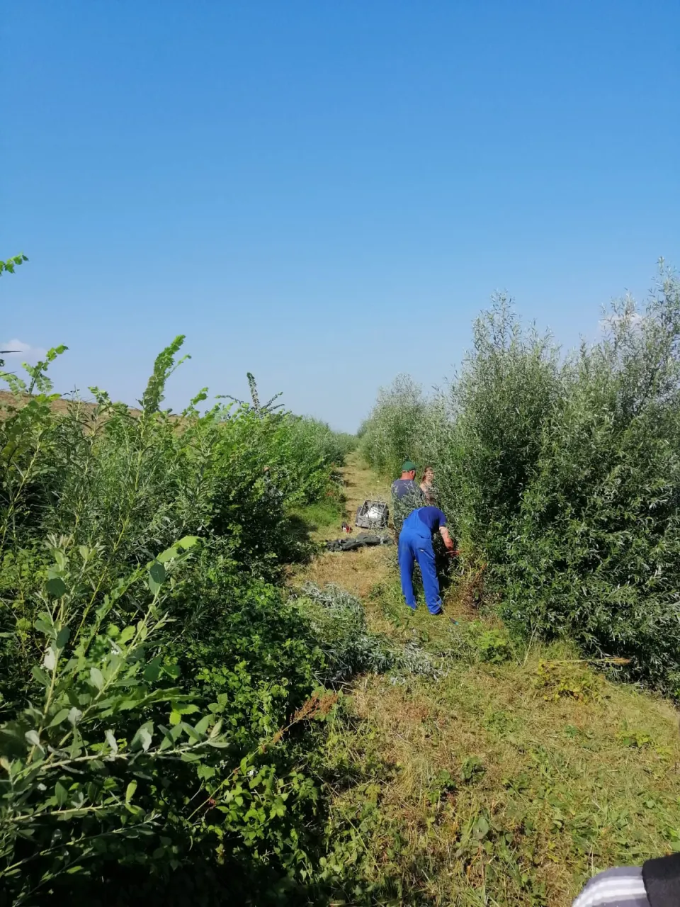 Viel Arbeit am Fleischerwerder