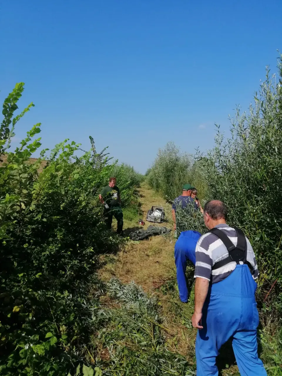 Viel Arbeit am Fleischerwerder