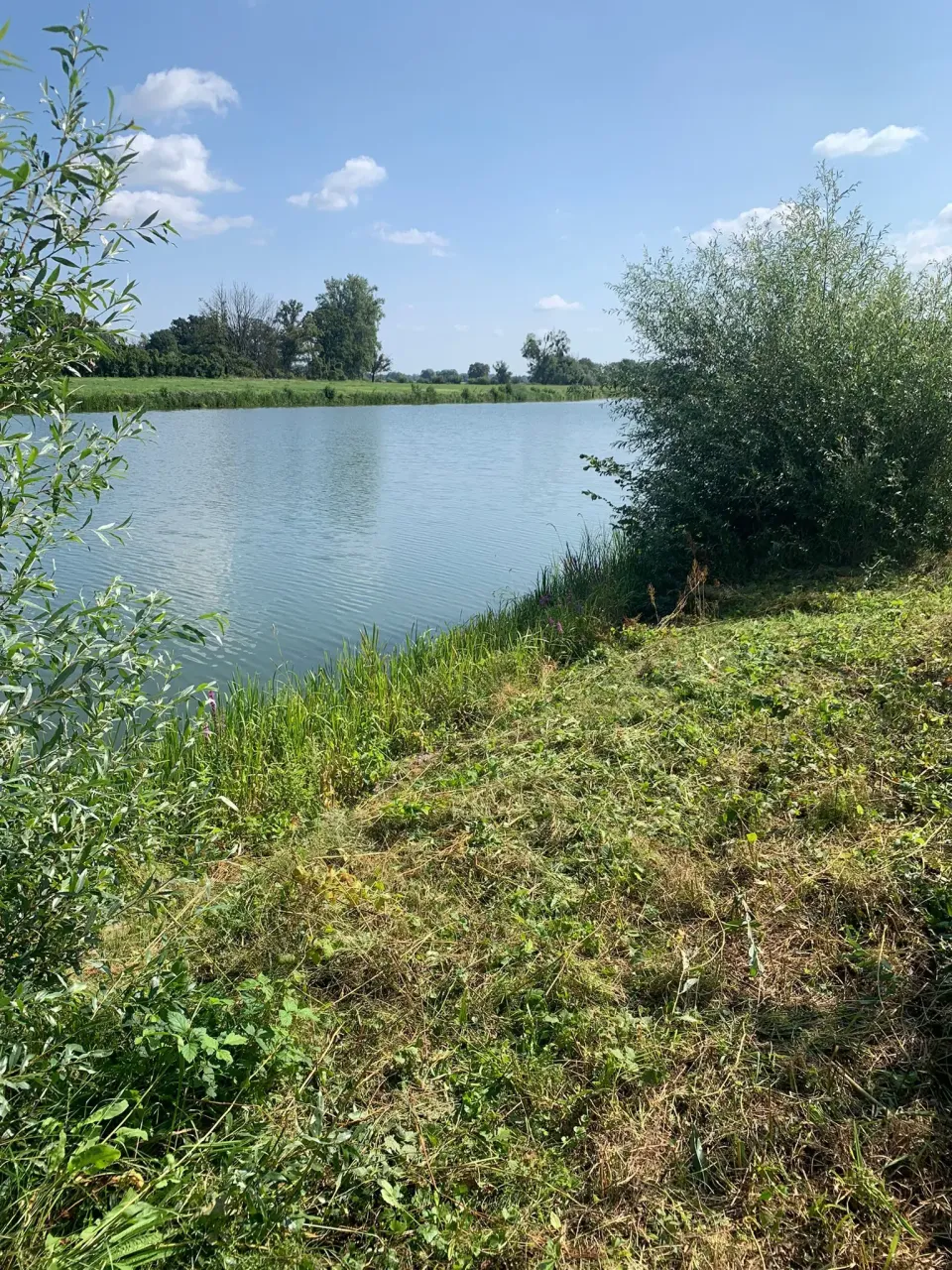 Viel Arbeit am Fleischerwerder