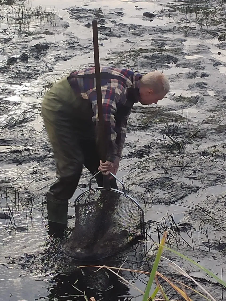 Fischaufzucht im KAV Wittenberg