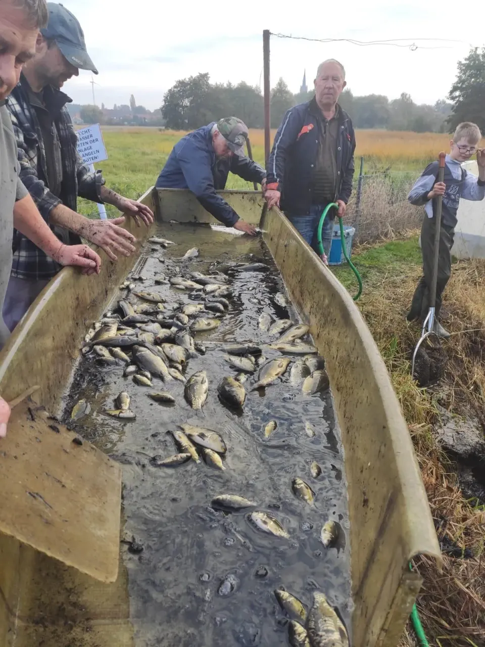 Fischaufzucht im KAV Wittenberg