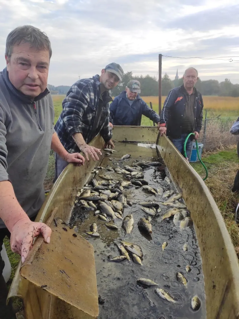 Fischaufzucht im KAV Wittenberg