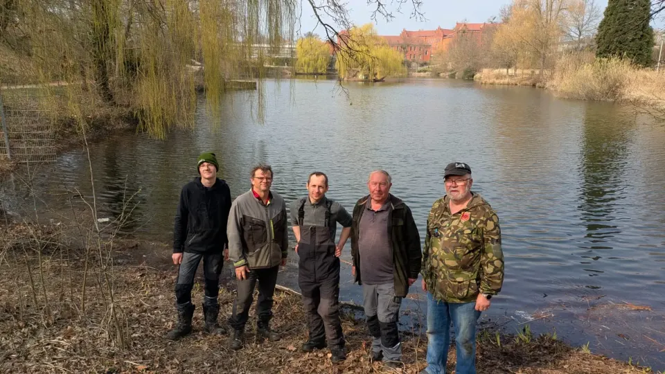 Fischbestand im Wittenberger Schwanenteich verringert