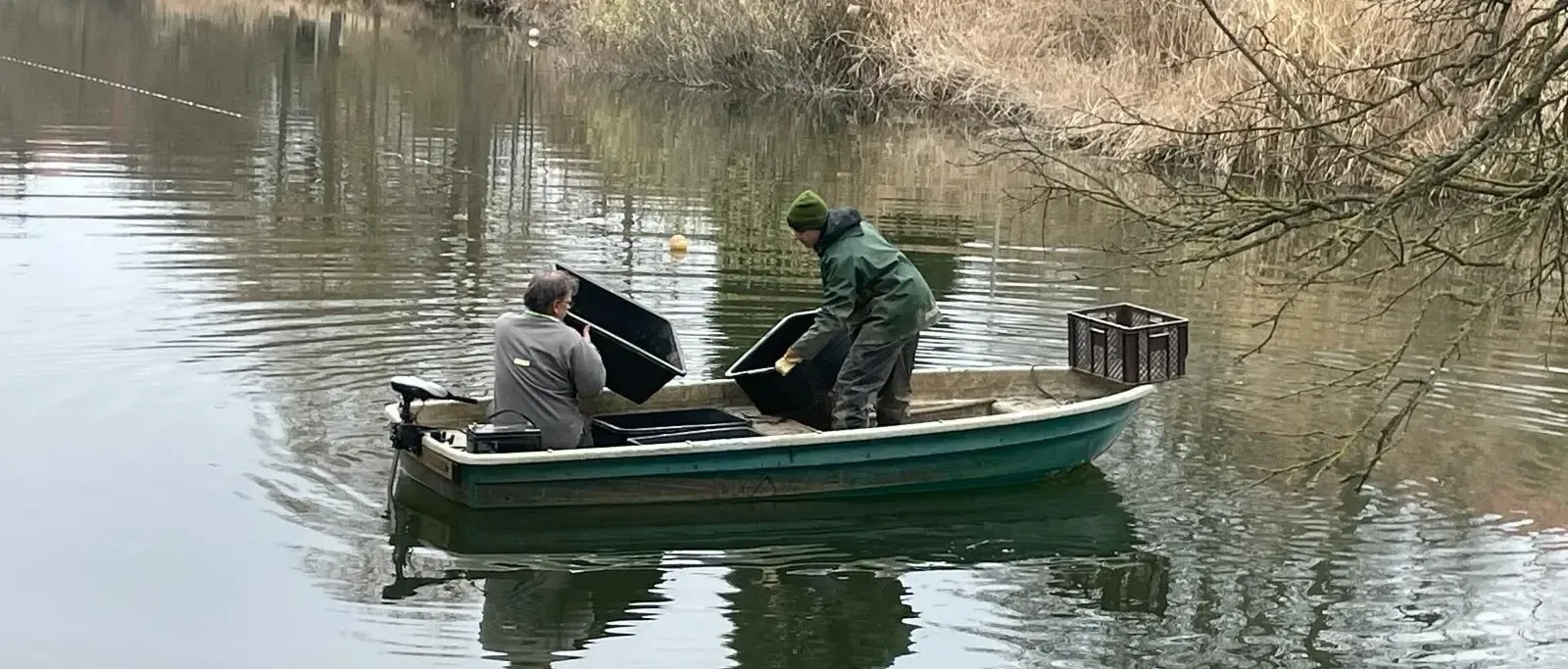 Fischbestand im Wittenberger Schwanenteich verringert