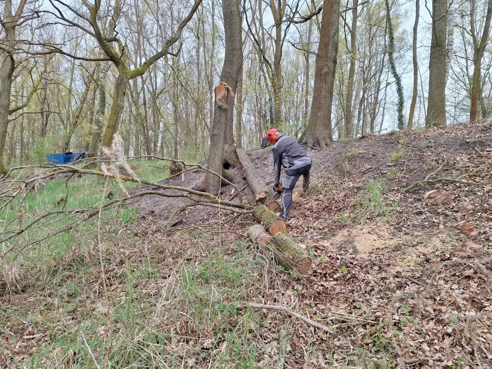 Arbeitseinsatz ACA-Teich