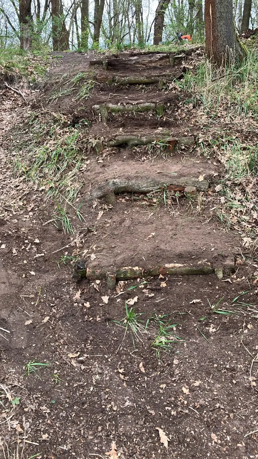 Arbeitseinsatz ACA-Teich