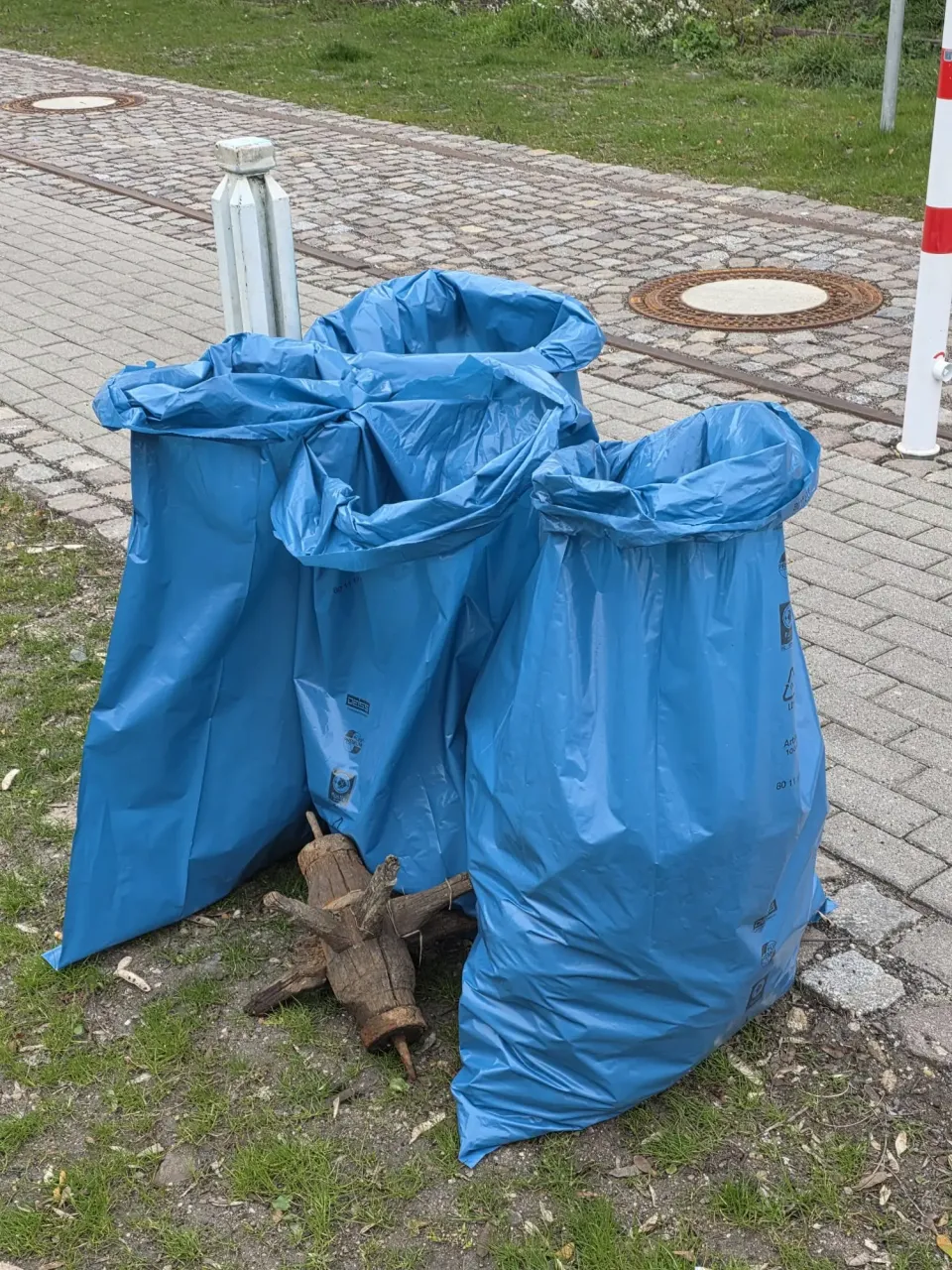 Frühjahrsputz in der Lutherstadt Wittenberg