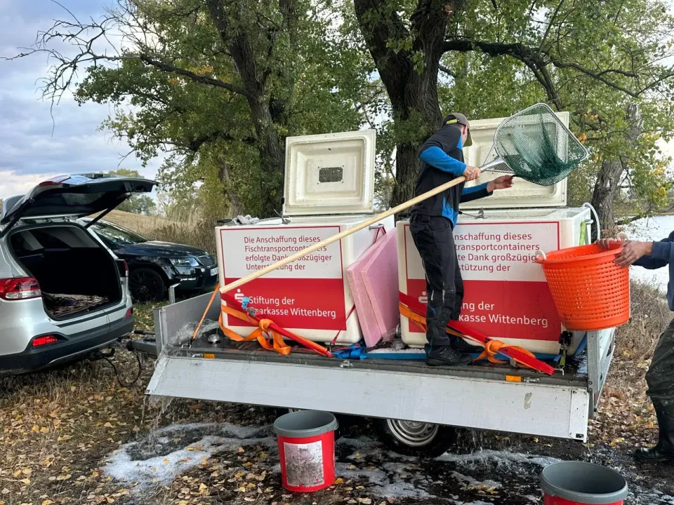 Impression vom Fischtransport des KAV Wittenberg