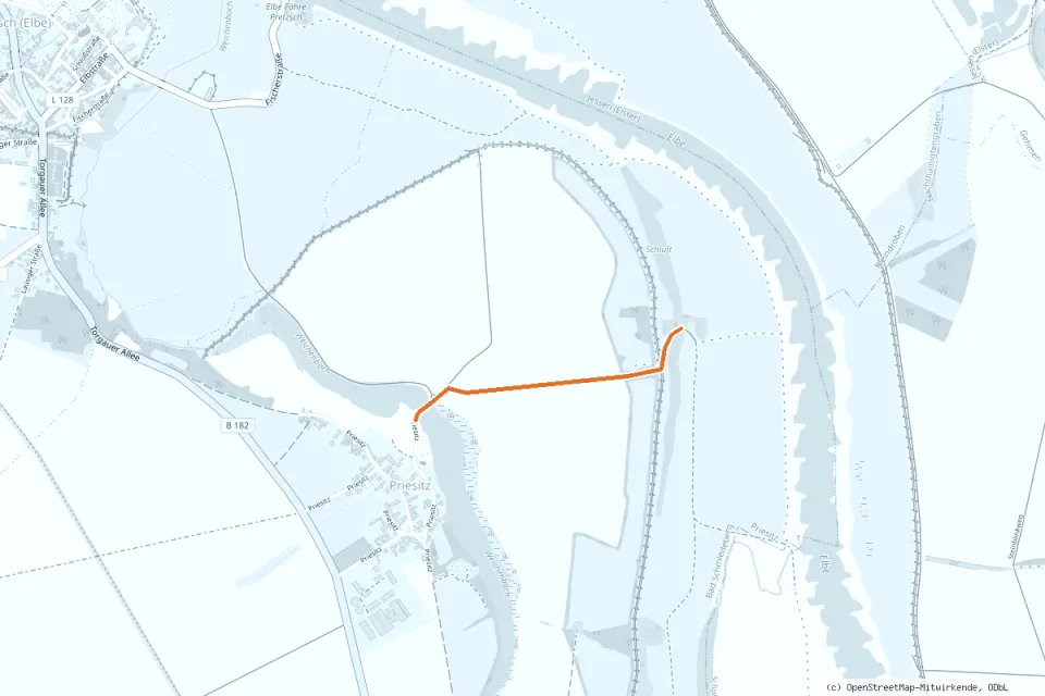 Karte Mauken / Priesitz: freigegebene Zufahrtswege (orange) und Parkplätze (P)