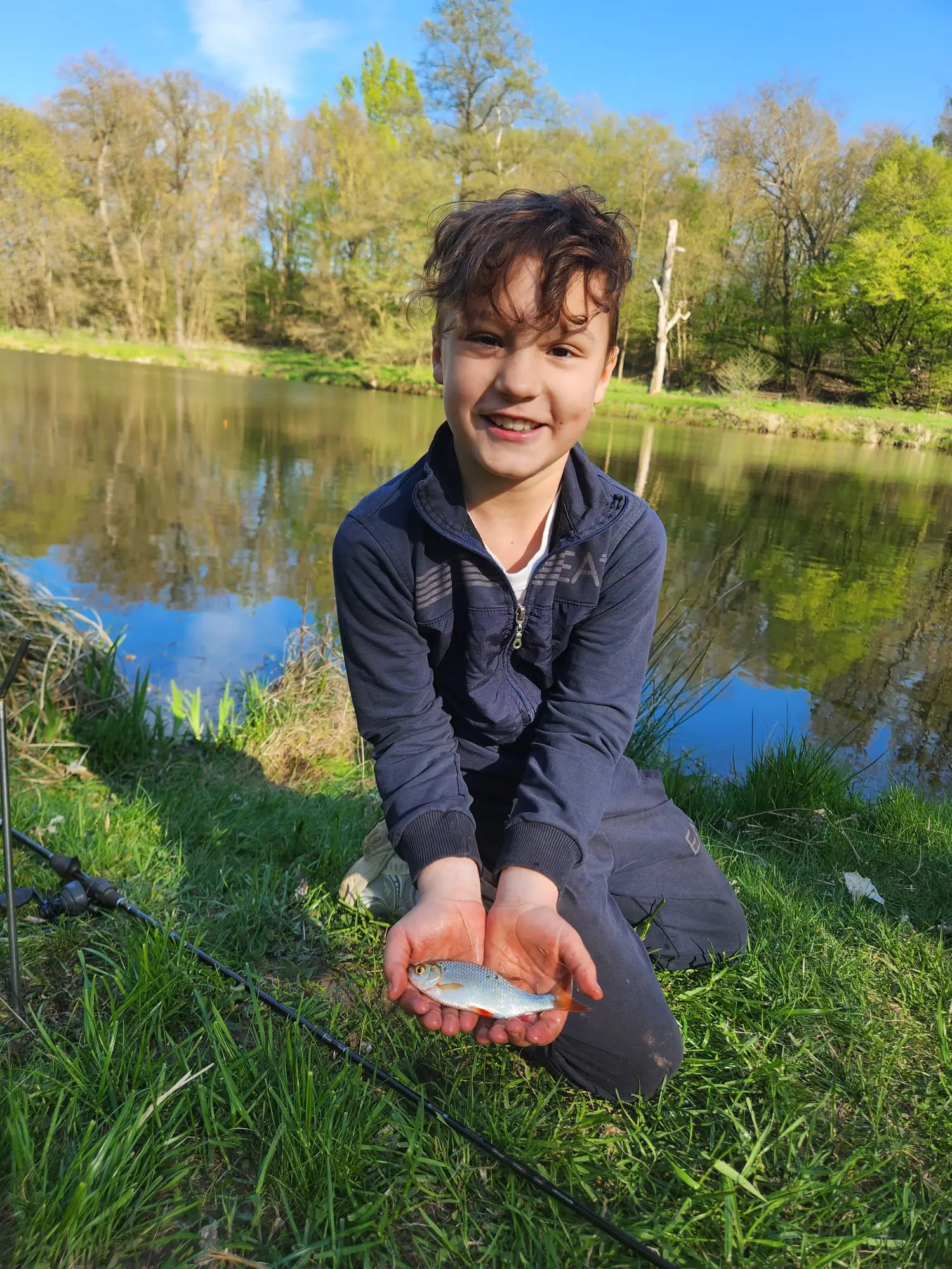 Hände halten eine Karausche über dem Kescher